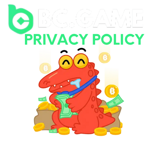 privacy-policy-brazil